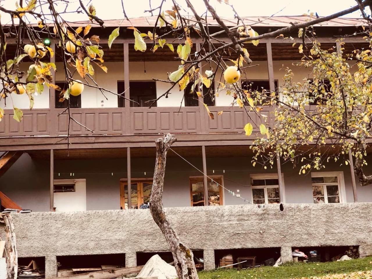 Hotel Mushkudiani Manor Mestia Esterno foto