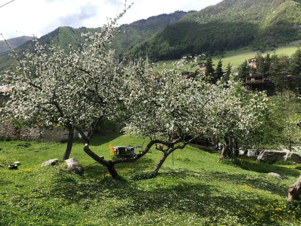 Hotel Mushkudiani Manor Mestia Esterno foto